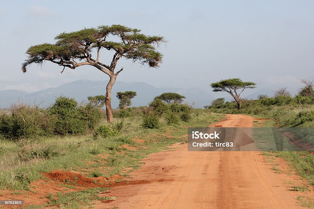 De Safari no Quénia - Royalty-free Quénia Foto de stock