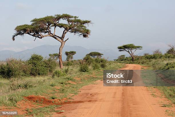 De Safari No Quénia - Fotografias de stock e mais imagens de Quénia - Quénia, Estrada em Terra Batida, Ao Ar Livre