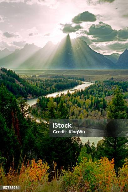 Grand Teton Río Snake Foto de stock y más banco de imágenes de Agua - Agua, Aire libre, Bosque