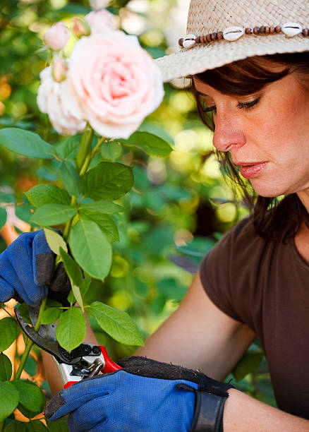 istock Woman Gardener 157534161