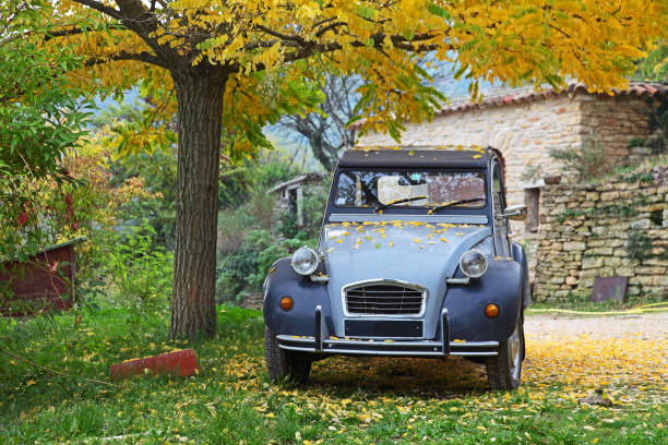 Typical french car under a tree of a farm in the Provence near Bonnieux, Vaucluse.