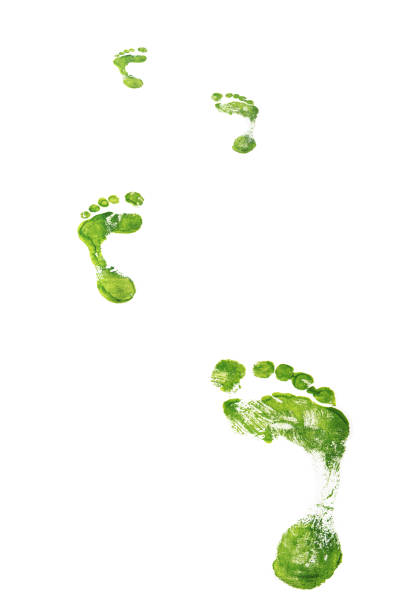 istock Green Footprints walking - isolated XXL 157534305