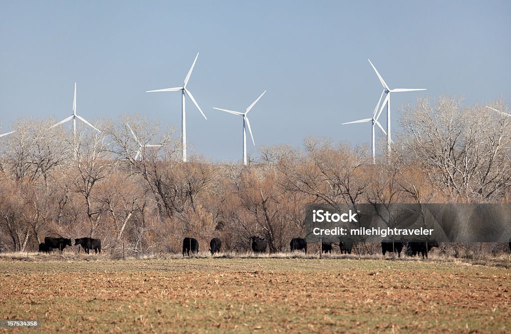 Oklahoma vento rural, Fazenda de gado e colheita Lands - Royalty-free Oklahoma Foto de stock