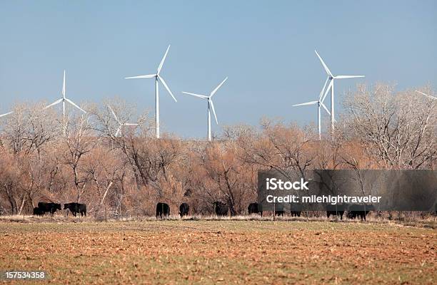 Oklahoma Vento Rural Fazenda De Gado E Colheita Lands - Fotografias de stock e mais imagens de Oklahoma