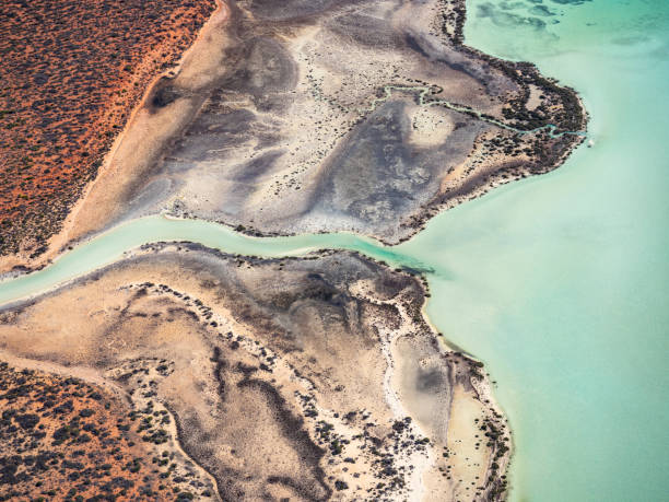 istock Aerial view of remote coastline 1575351801