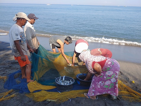 Lombok, Indonesia - May 24, 2023 : some Fisherman take fish off fishing net and put it in a bucket