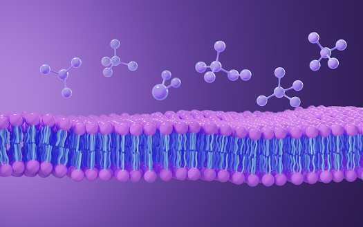 Cell membrane structure background, 3d rendering. Digital drawing.