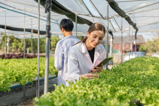istock Biologist in test for laboratory analyze. Two scientists stand in organic farm. check, laboratory in greenhouse 1575405264