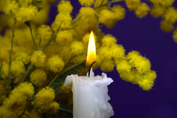 istock Candle flame and yellow mimosa flowers over blue 1575453784