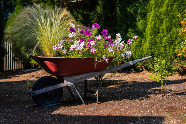 A vibrant yellow wheelbarrow rests against a tree in a grassy yard filled with yellow daisy-like flowers (Bellis perennis). The sunlight highlights the serene and productive garden atmosphere.