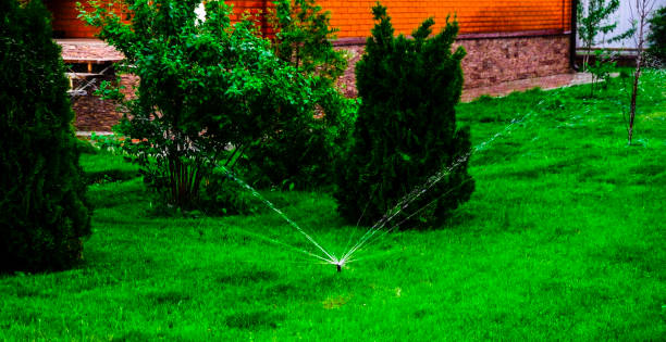 istock Sammer in the garden. Automatic watering watering green lawn 1575460649