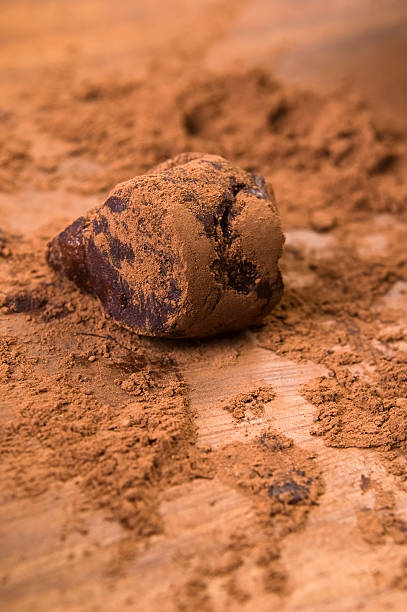 istock Homemade chocolate truffles 157546189