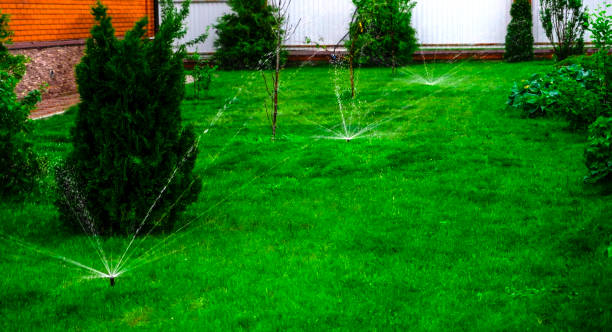 istock Sammer in the garden. Automatic watering watering green lawn 1575463716