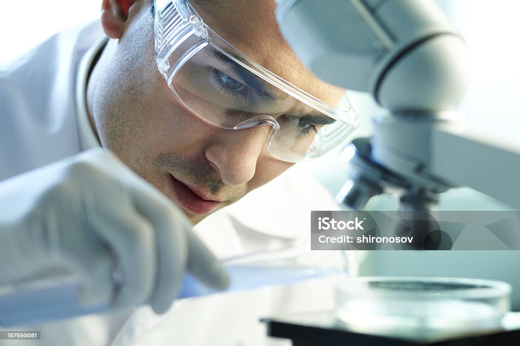 Chemist at work wearing protective glasses and gloves Serious clinician studying chemical element in laboratory Adult Stock Photo