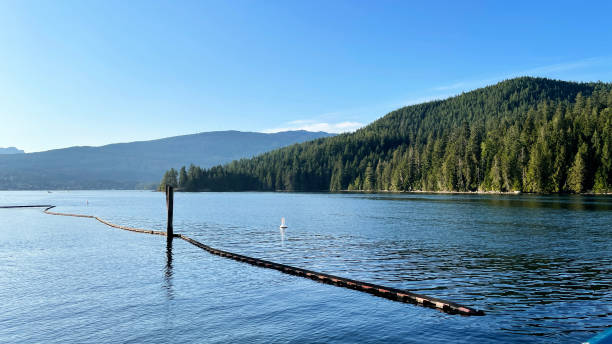 istock Barnet Marine Park in Burnaby, British Columbia 1575510694