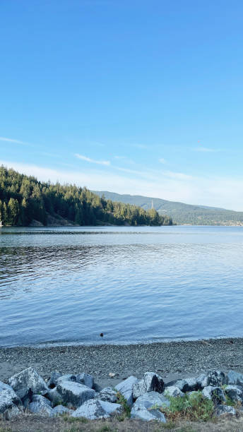 istock Barnet Marine Park in Burnaby, British Columbia 1575510725