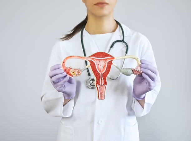 istock Gynecologist showing an ovary model 1575511410