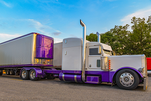 A striking white-purple semi truck with chrome accents gracefully hauls livestock on the road