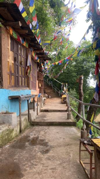 randonnée à pharping - shivalinga photos et images de collection