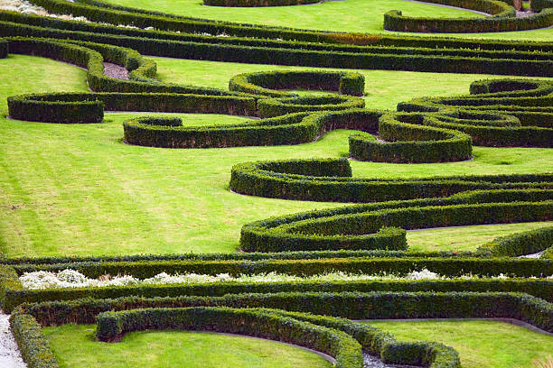 istock Ornamental baroque garden 157551507