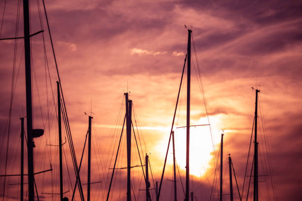Sail boats at sunrise