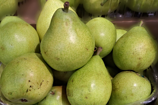 Pears are fruits produced and consumed around the world, growing on a tree and harvested in late summer into mid-autumn. The pear tree and shrub are a species of genus Pyrus /ˈpaɪrəs/, in the family Rosaceae, bearing the pomaceous fruit of the same name.