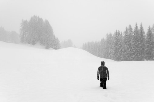 Alone in the snow winter landscape