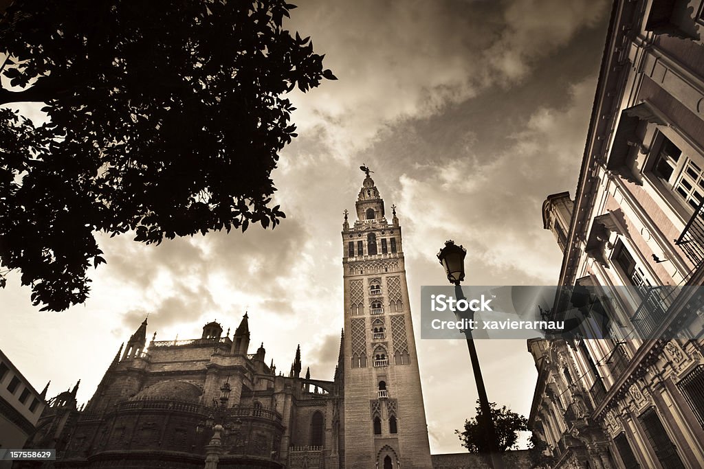 Spectaculaire de Séville - Photo de Arbre libre de droits