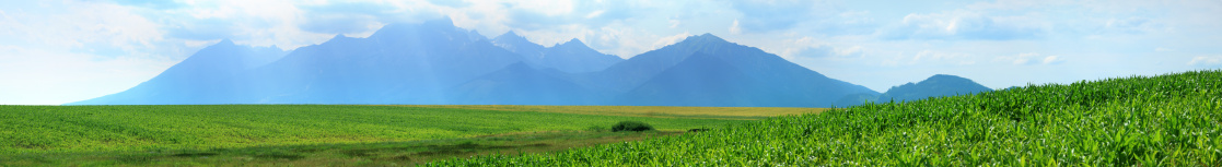 Mountain peaks and corn field - panorama 98 Mpix