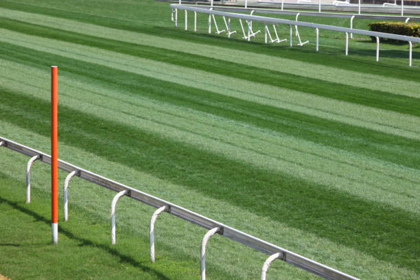 istock Horse Racing Track 157559351