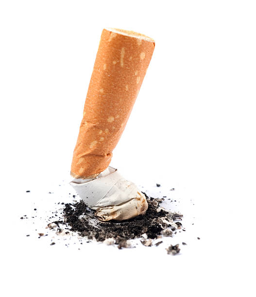 Extinguished cigarette butt isolated on white background Cigarette butt on white background cigarette photos stock pictures, royalty-free photos & images