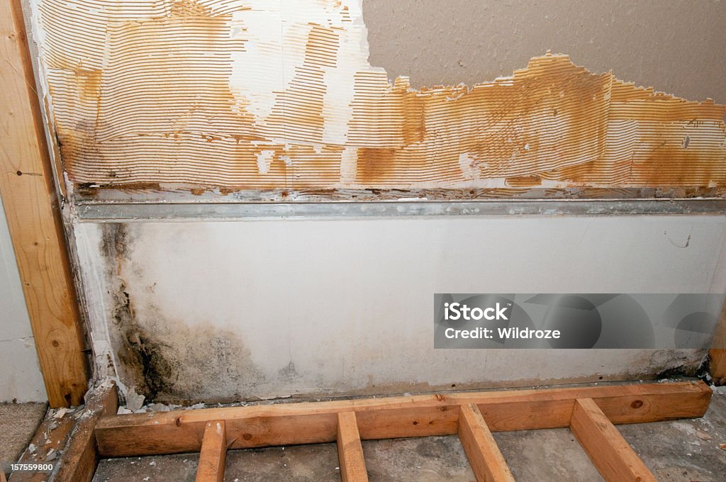 A basement in the midst of construction Black mold grows in a basement bathroom. The mold was revealed after a poorly installed shower and tub was removed. Home Interior Stock Photo