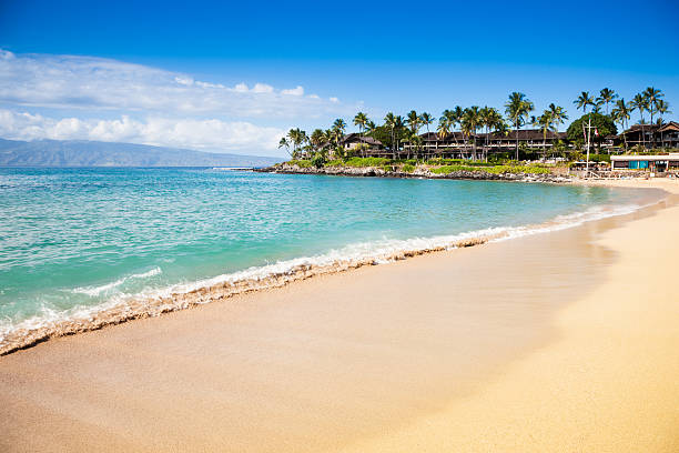 praia de sonho napili bay maui havaí - beach maui summer usa imagens e fotografias de stock