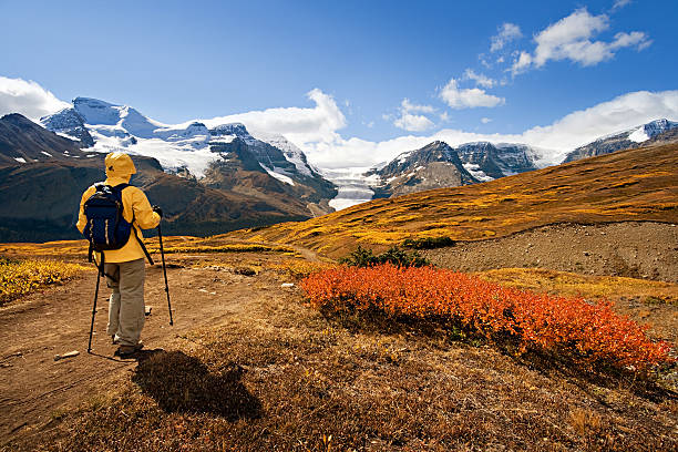 Hiker in the Rockies (Columbia Icefield and Athabasca Glacier in the background)