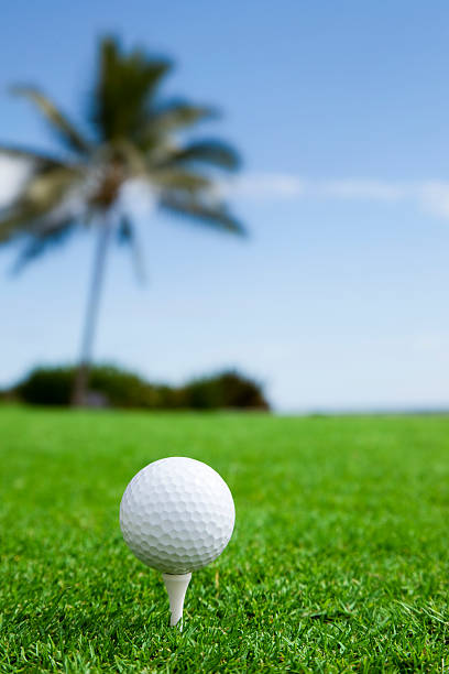 Hawaiian Golf  clear sky usa tree day stock pictures, royalty-free photos & images