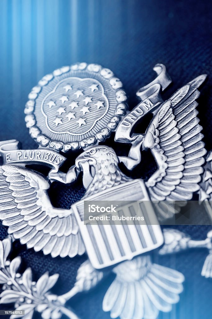 American Emblem American Bald Eagle Insignia. US State Department Stock Photo