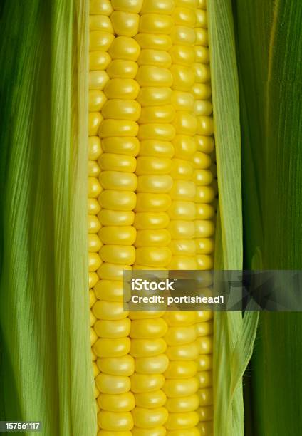 Pannocchia - Fotografie stock e altre immagini di Raccolto di mais - Raccolto di mais, Cartoccio, Macrofotografia