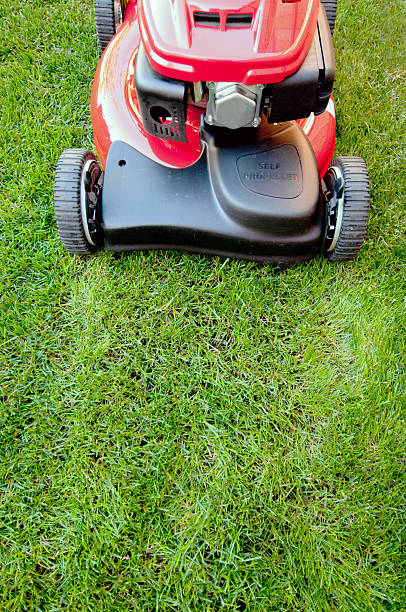 光沢のあるレッドの lawnmower が、カット - cut grass ストックフォトと画像