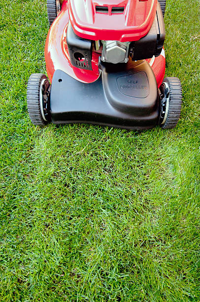 Shiny red lawnmower is ready to cut stock photo