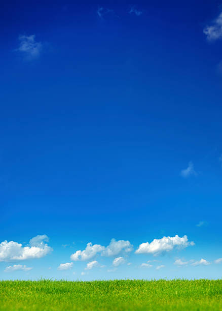 aria pulita paesaggio - grass and blue sky foto e immagini stock