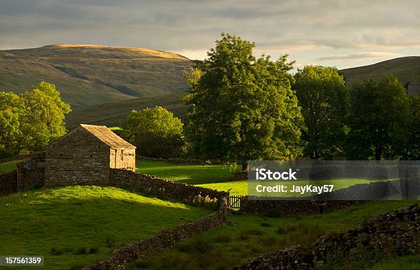 Swaledale Yorkshire Stockfoto und mehr Bilder von England - England, Ländliches Motiv, Englische Kultur
