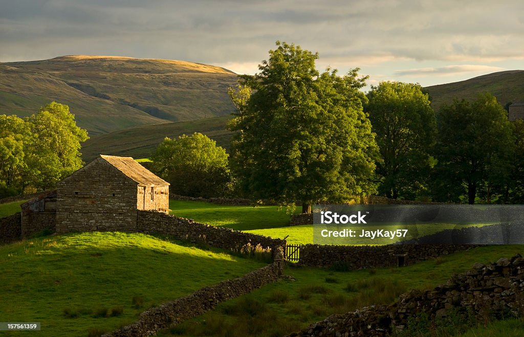 Swaledale, Yorkshire - Foto stock royalty-free di Inghilterra