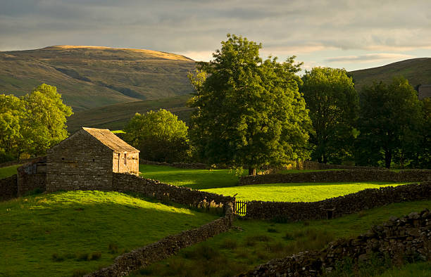 View of farmland hills in Swaledale, Yorkshire stock photo