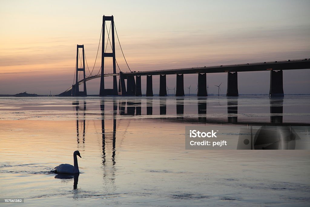 Gran bridge at sunset y un cisne en el agua. - Foto de stock de Futurista libre de derechos