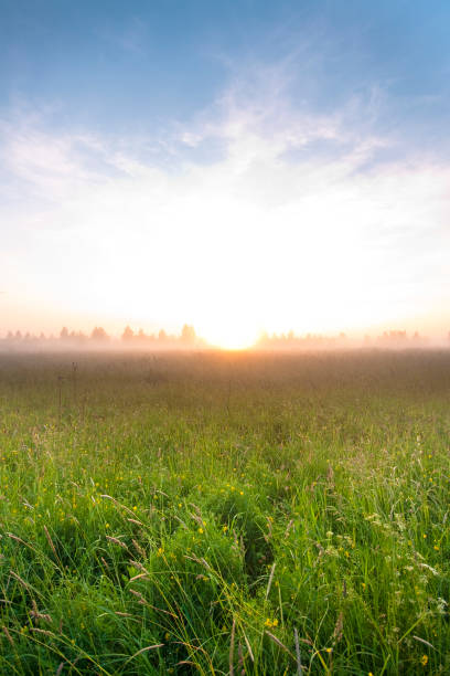istock Summer foggy day 157561431