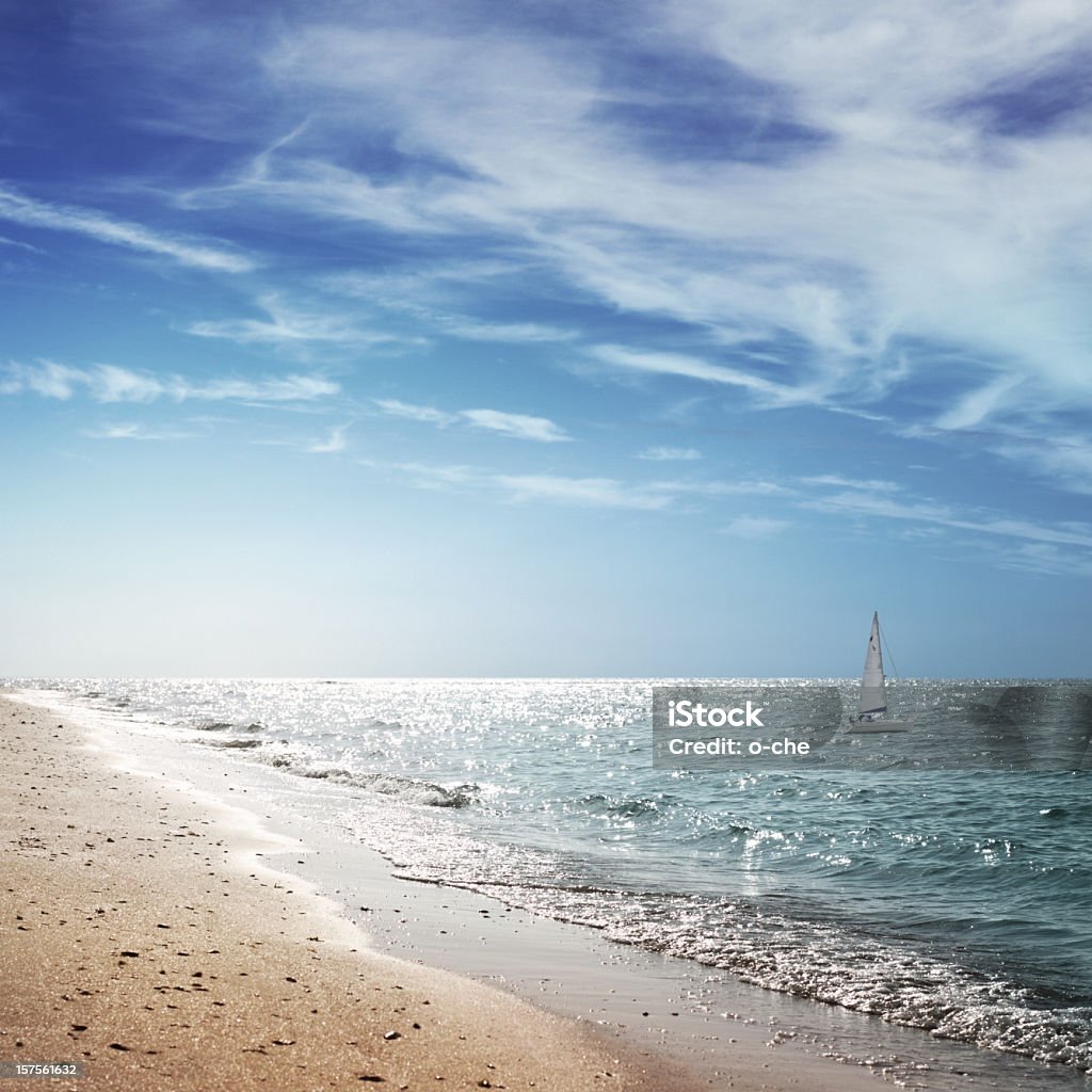晴れた夏の海に sailer landcsape - カラー画像のロイヤリティフリーストックフォト