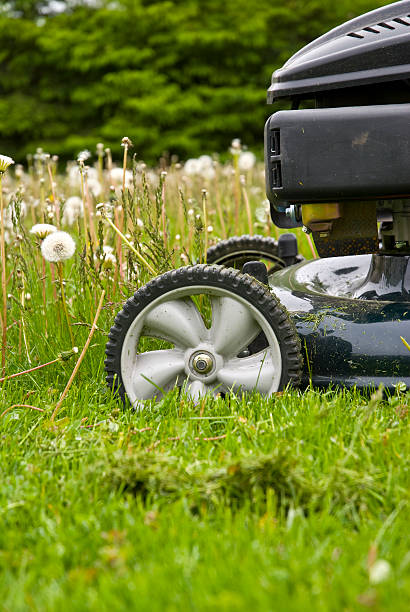 Mowing the grass... stock photo