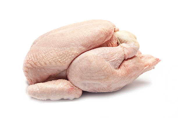 istock Isolated whole raw chicken with legs tied up 157562123