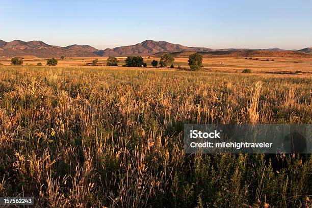 Prairie Sunrise Fehringer Ranch Park Mount Morrison Colorado Rocky Mountains Stock Photo - Download Image Now