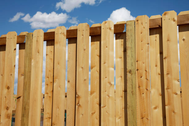 istock Building Series - Cedar Picket Fence and Sky 157562254